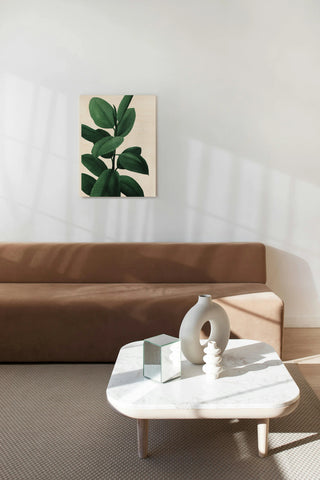 Jeweled Ficus I