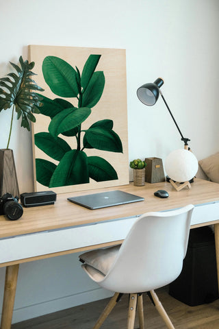 Jeweled Ficus I