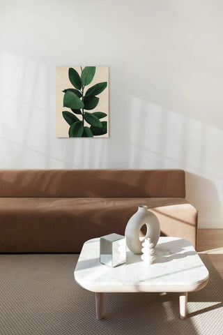 Jeweled Ficus II