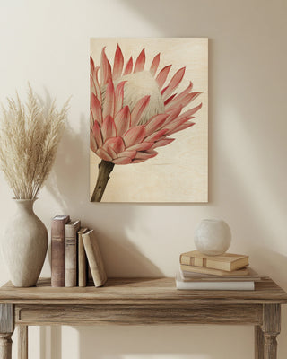 Queen Protea I