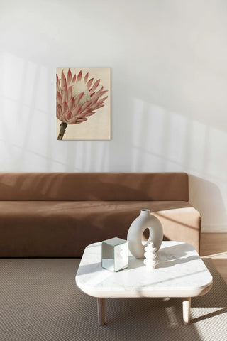 Queen Protea I