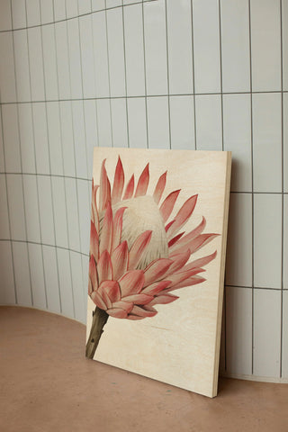 Queen Protea I