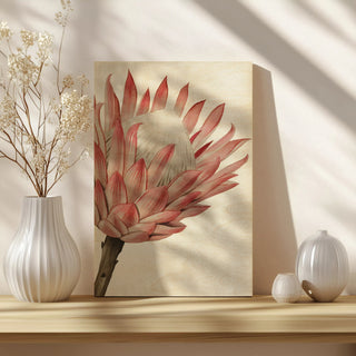 Queen Protea I
