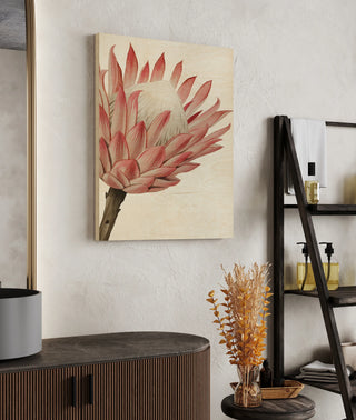 Queen Protea I