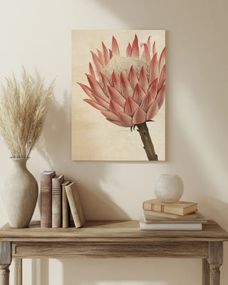 Queen Protea II