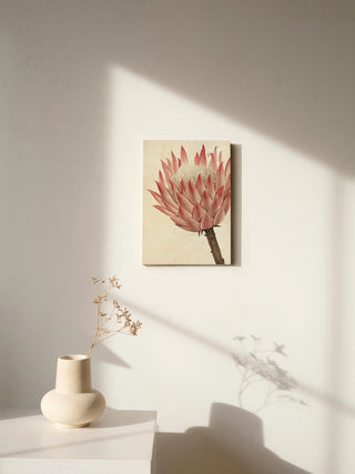Queen Protea II