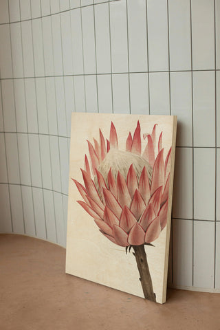 Queen Protea II