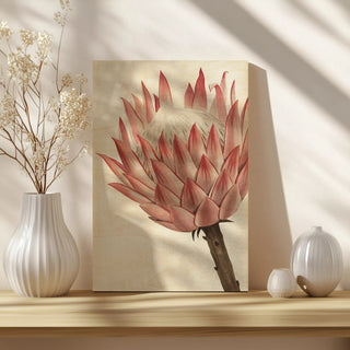 Queen Protea II