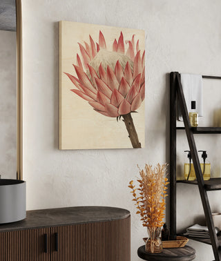 Queen Protea II