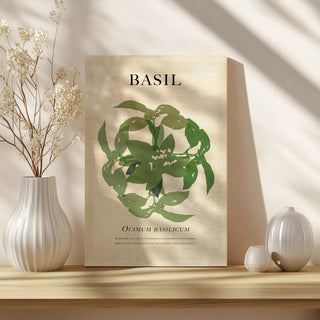 Basil
