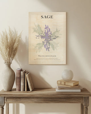 Sage