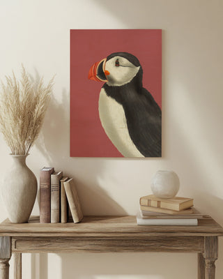 Puffin Portrait 3