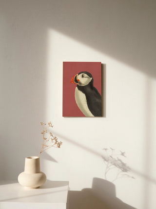 Puffin Portrait 3