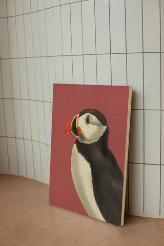 Puffin Portrait 3