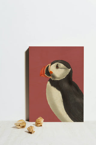 Puffin Portrait 3