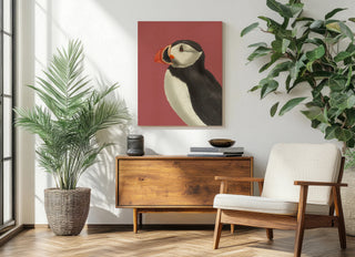 Puffin Portrait 3
