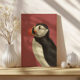 Puffin Portrait 3