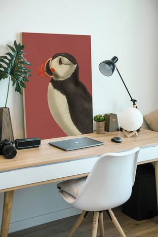 Puffin Portrait 3