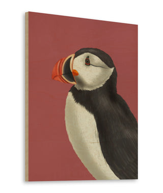 Puffin Portrait 3