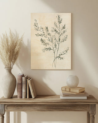 Pressed Fern Fossil II