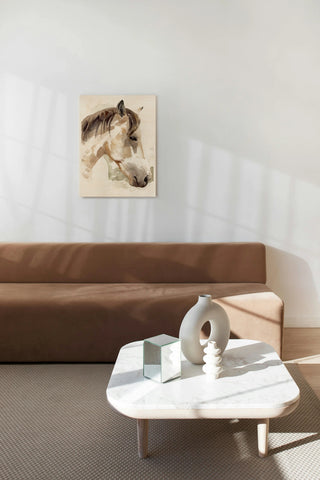 Soft Horse Profile I