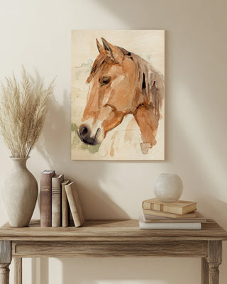Soft Horse Profile II