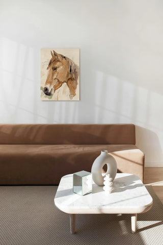 Soft Horse Profile II