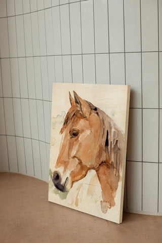 Soft Horse Profile II