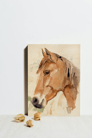 Soft Horse Profile II