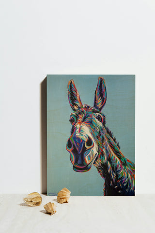 Valentine the Donkey