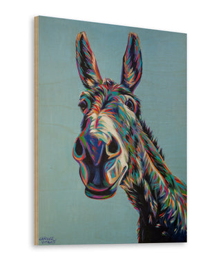 Valentine the Donkey