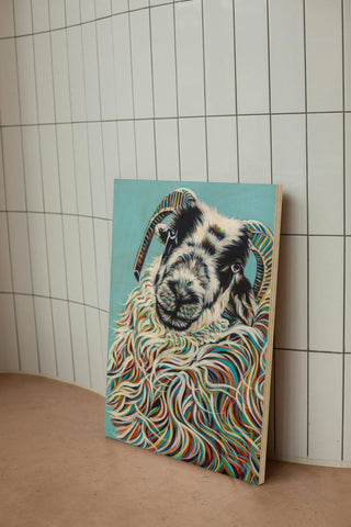 Colorful Ram