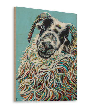 Colorful Ram