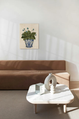 Planter with Blue Flower Plant