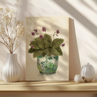Planter with Pink Flower Plant