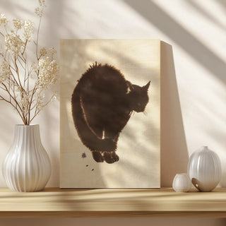Black Cat Dream I