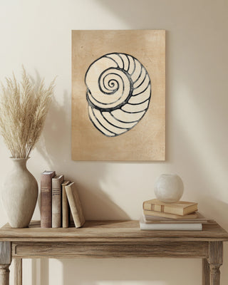 Assorted Embellished Shells IV
