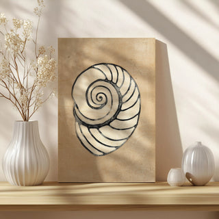 Assorted Embellished Shells IV