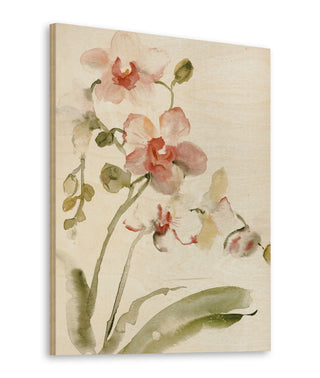 Autumn Orchid l