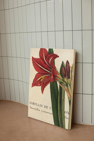 Botanique I Print