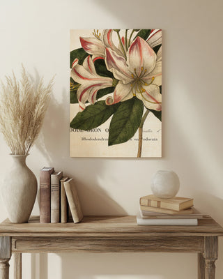 Botanique III Print