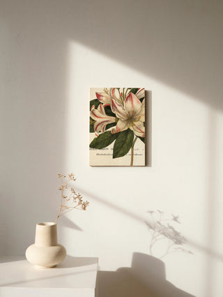 Botanique III Print