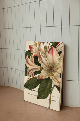 Botanique III Print