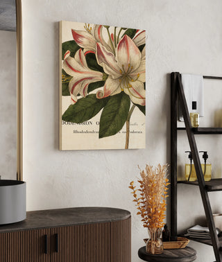 Botanique III Print