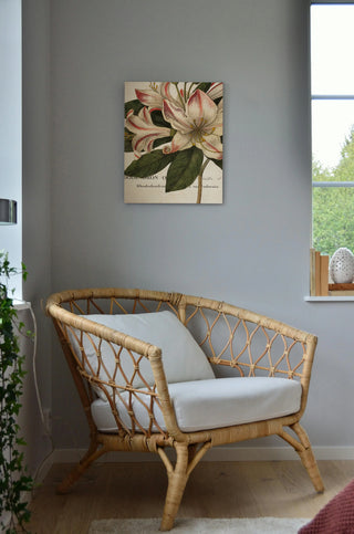 Botanique III Print