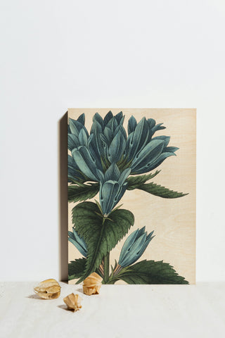 Botanique II no Words Print