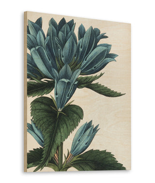 Botanique II no Words Print