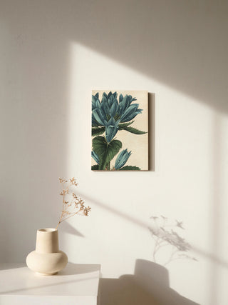 Botanique II no Words Crop Print