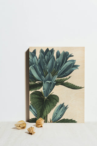 Botanique II no Words Crop Print