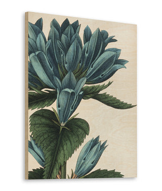 Botanique II no Words Crop Print